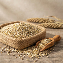 Bajra (Pearl Millet)